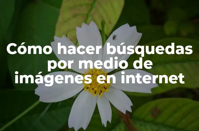 Cómo Hacer Búsquedas por Medio de Imágenes en Internet