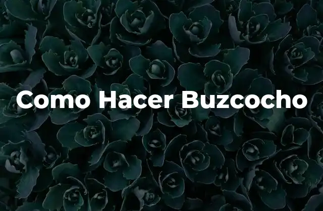 Como Hacer Buzcocho 2 ¿Qué es el Buzcocho?