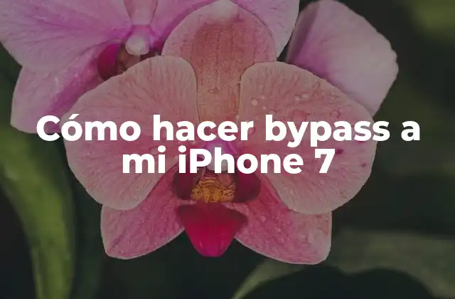 Cómo Hacer Bypass a Mi Iphone 7
