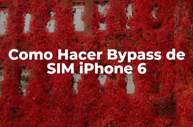 Como Hacer Bypass de Sim Iphone 6