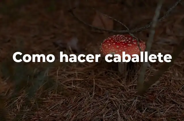 Como Hacer Caballete 2 Como hacer caballete