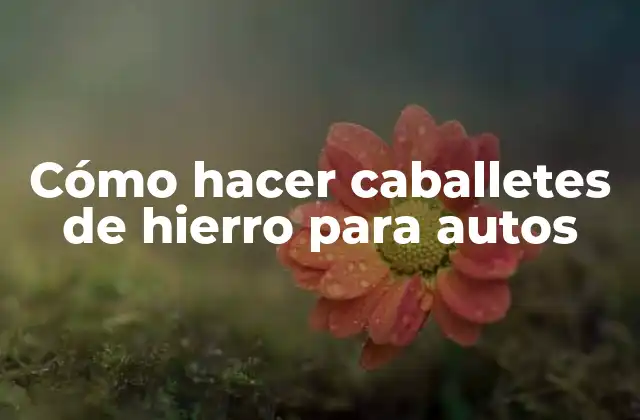 Cómo Hacer Caballetes de Hierro para Autos