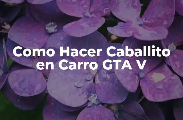 Como Hacer Caballito en Carro Gta V 2 ¿Qué es Hacer Caballito en Carro en GTA V?