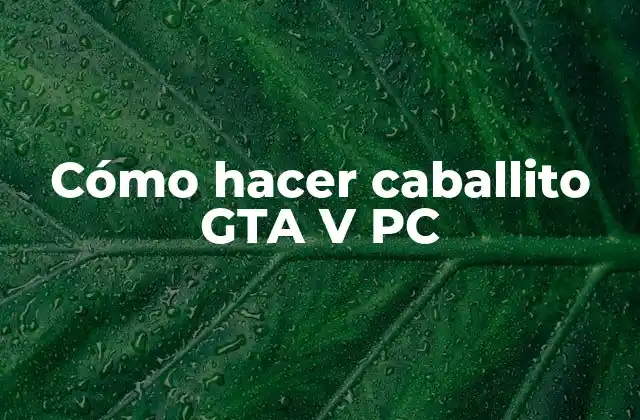 Cómo Hacer Caballito Gta V Pc 2 ¿Qué es hacer caballito en GTA V PC?