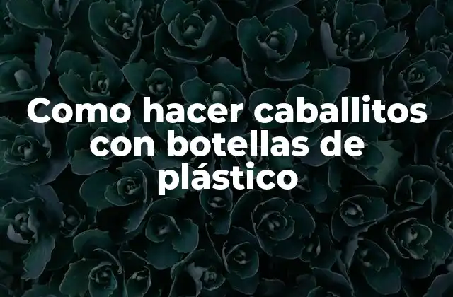 Como Hacer Caballitos con Botellas de Plástico