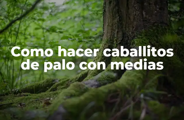 Como Hacer Caballitos de Palo con Medias