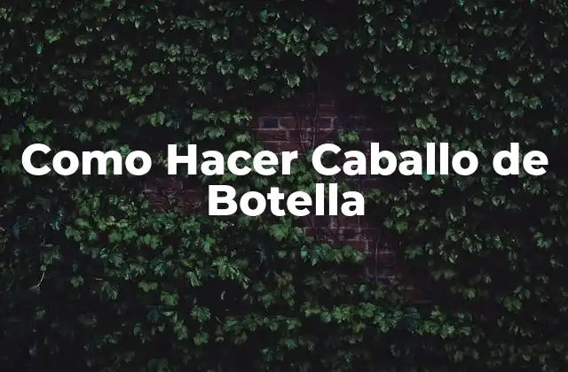 Como Hacer Caballo de Botella