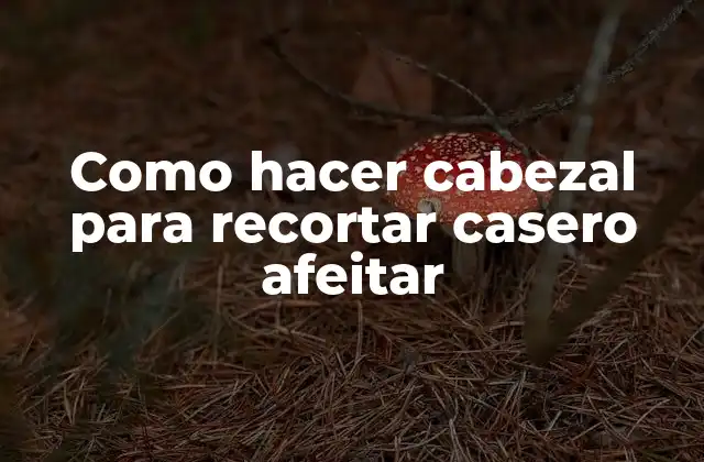 Como Hacer Cabezal para Recortar Casero Afeitar
