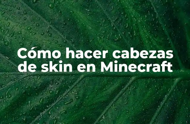 Cómo Hacer Cabezas de Skin en Minecraft