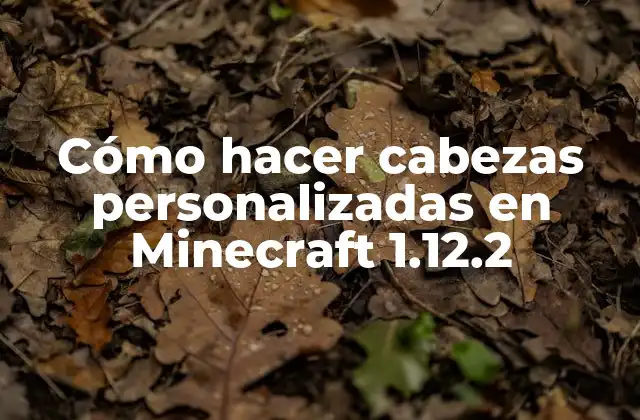 Cómo Hacer Cabezas Personalizadas en Minecraft 1.12.2