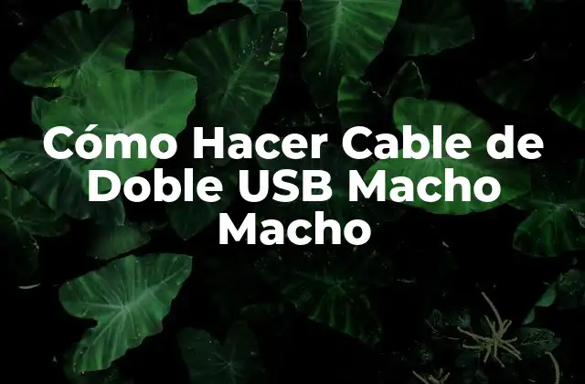 ¿Qué es un Cable de Doble USB Macho Macho?