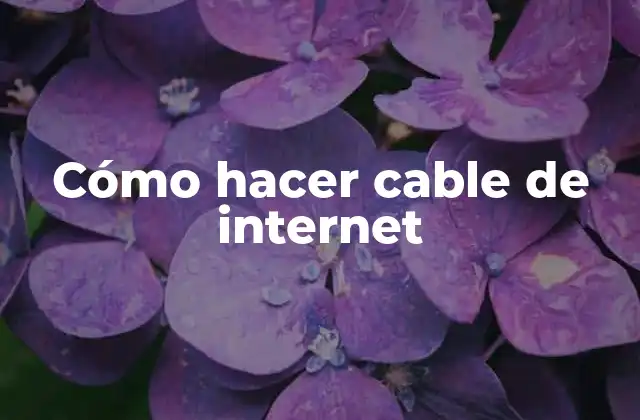 Cómo Hacer Cable de Internet