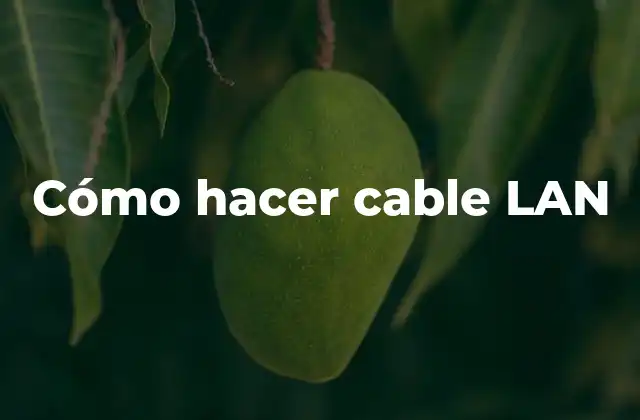 Cómo Hacer Cable Lan