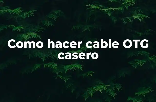 Como Hacer Cable Otg Casero