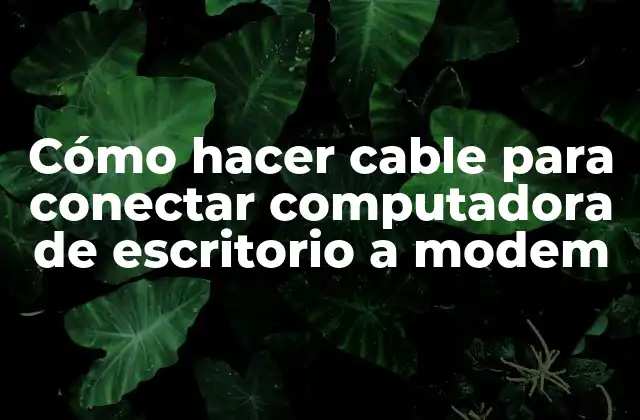 Cómo Hacer Cable para Conectar Computadora de Escritorio a Modem 2 Cómo hacer cable para conectar computadora de escritorio a modem