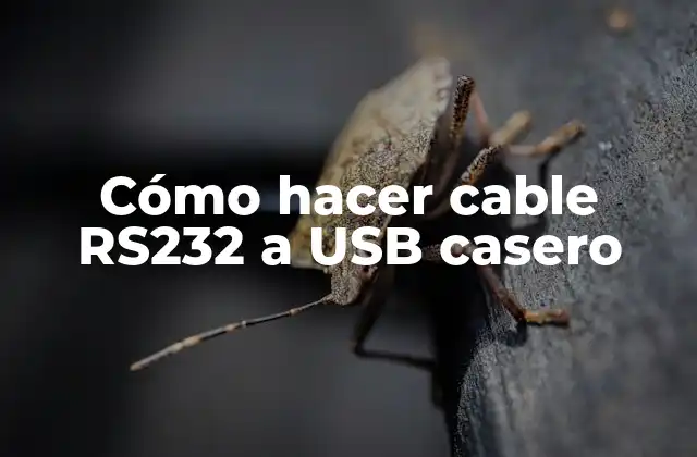 Cómo Hacer Cable Rs232 a Usb Casero