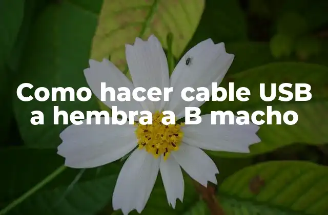 ¿Qué es un cable USB a hembra a B macho y para qué sirve?