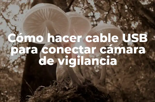 Cómo Hacer Cable Usb para Conectar Cámara de Vigilancia 2 Cómo hacer un cable USB para conectar cámara de vigilancia