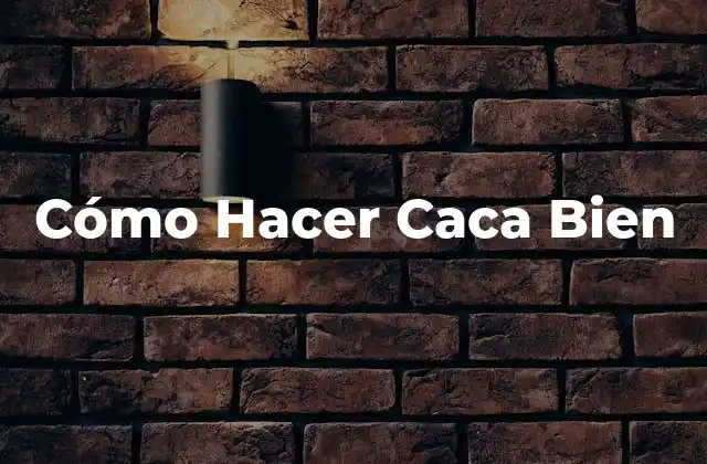 Cómo Hacer Caca Bien