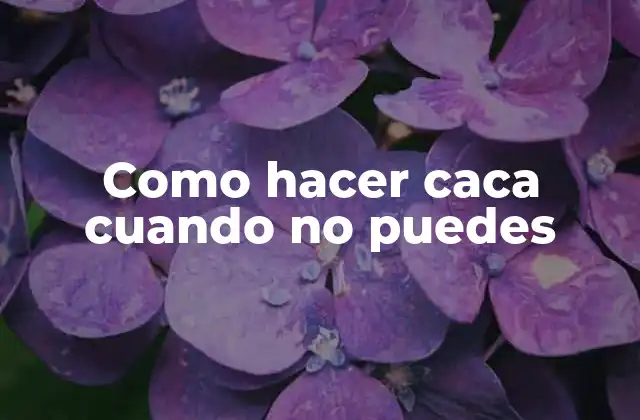 Como hacer caca cuando no puedes