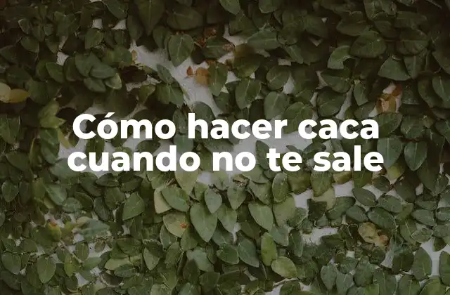 Cómo Hacer Caca Cuando No Te Sale