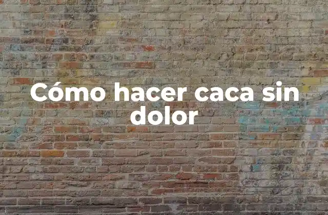 Cómo Hacer Caca sin Dolor