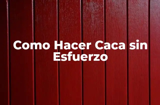 Como Hacer Caca sin Esfuerzo 2 ¿Qué es la Defecación sin Esfuerzo?