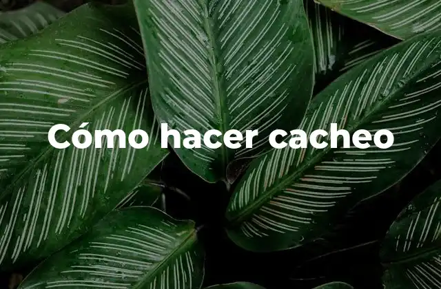 Cómo Hacer Cacheo 2 ¿Qué es cacheo y para qué sirve?