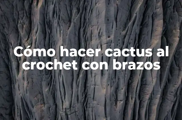 Cómo Hacer Cactus Al Crochet con Brazos