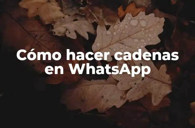 Cómo Hacer Cadenas en Whatsapp