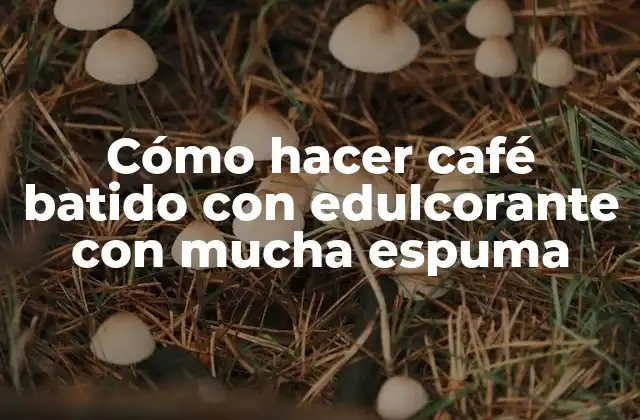 Cómo Hacer Café Batido con Edulcorante con Mucha Espuma