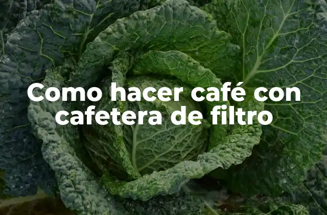 Como Hacer Café con Cafetera de Filtro
