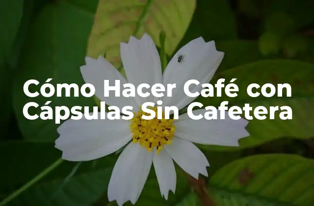 Cómo Hacer Café con Cápsulas sin Cafetera