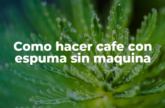 Como Hacer Cafe con Espuma sin Maquina