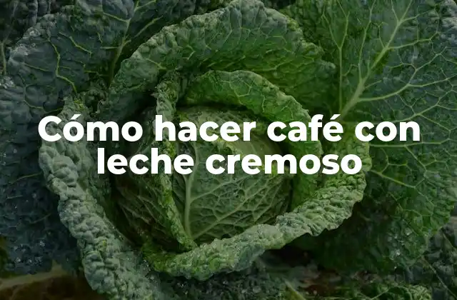 Cómo Hacer Café con Leche Cremoso