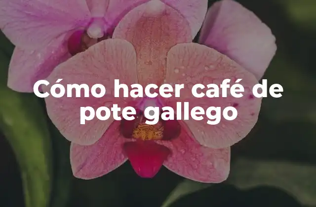 Cómo Hacer Café de Pote Gallego