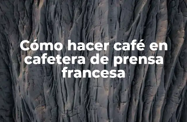 Cómo Hacer Café en Cafetera de Prensa Francesa