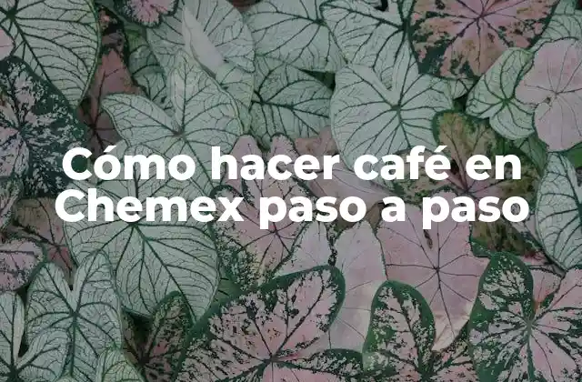 Cómo Hacer Café en Chemex Paso a Paso