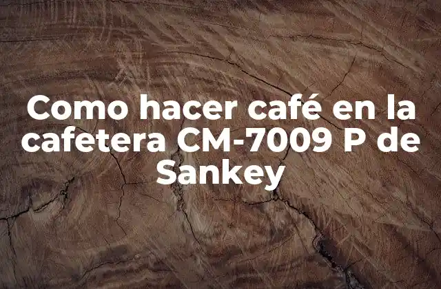 Como Hacer Café en la Cafetera Cm-7009 P de Sankey