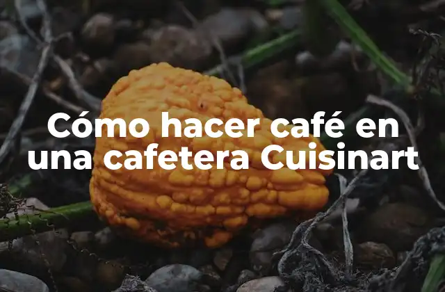 Cómo Hacer Café en una Cafetera Cuisinart