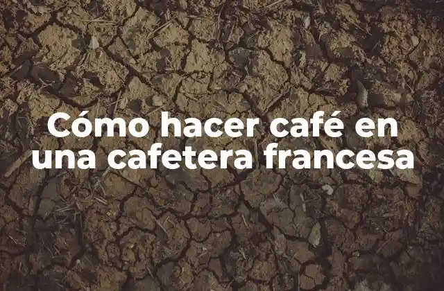Cómo Hacer Café en una Cafetera Francesa