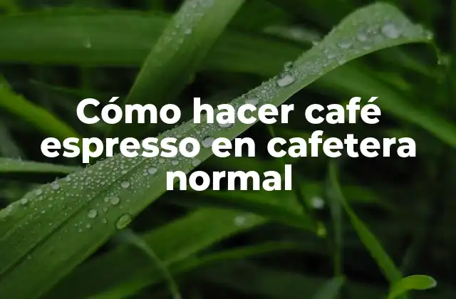 Cómo Hacer Café Espresso en Cafetera Normal