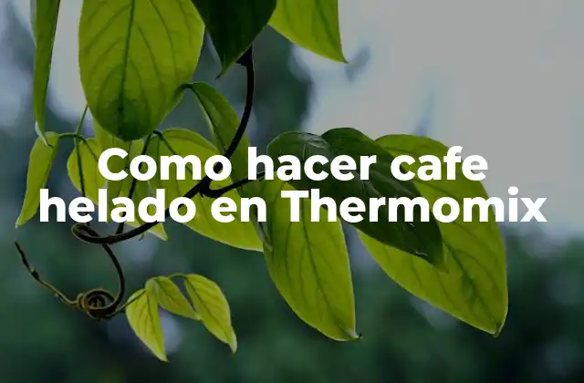 Como Hacer Cafe Helado en Thermomix