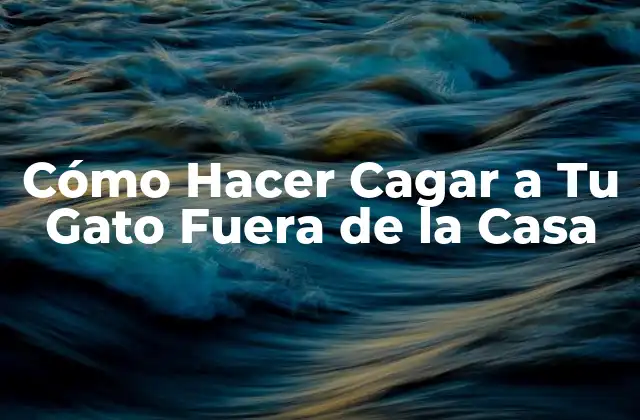 Cómo Hacer Cagar a Tu Gato Fuera de la Casa