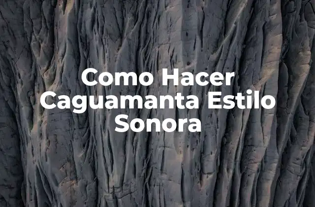 Como Hacer Caguamanta Estilo Sonora 2 Caguamanta Estilo Sonora: ¿Qué es y para qué sirve?