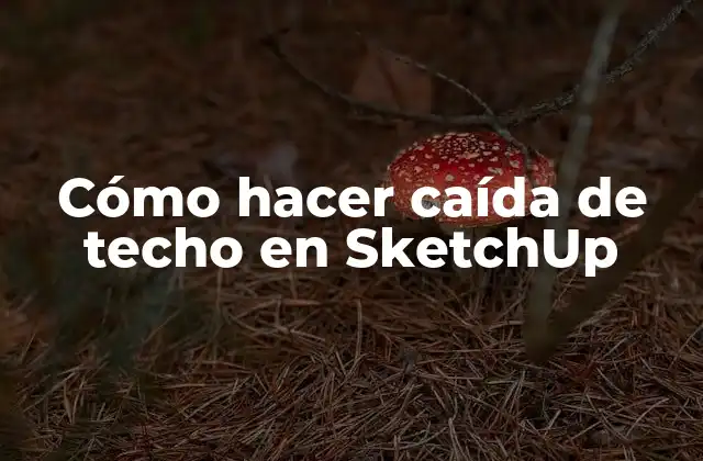Cómo Hacer Caída de Techo en Sketchup