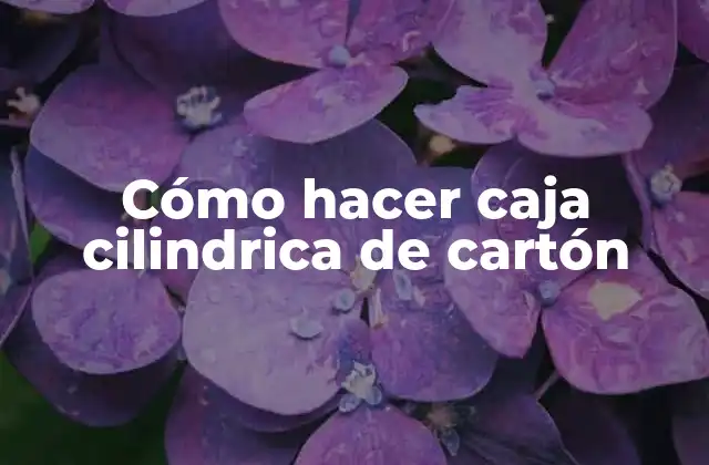 Cómo Hacer Caja Cilindrica de Cartón