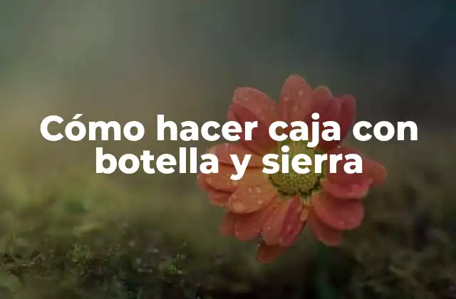 Cómo Hacer Caja con Botella y Sierra