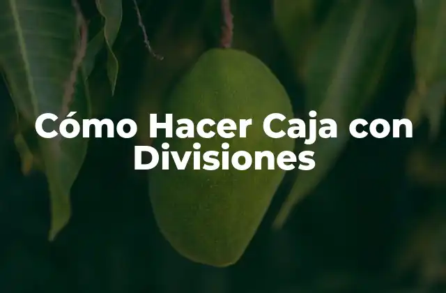Cajas con Divisiones: Una Solución para Organizar y Almacenar Objetos