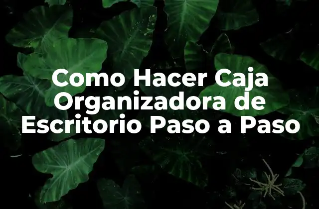 Como Hacer Caja Organizadora de Escritorio Paso a Paso 2 ¿Qué es una Caja Organizadora de Escritorio?